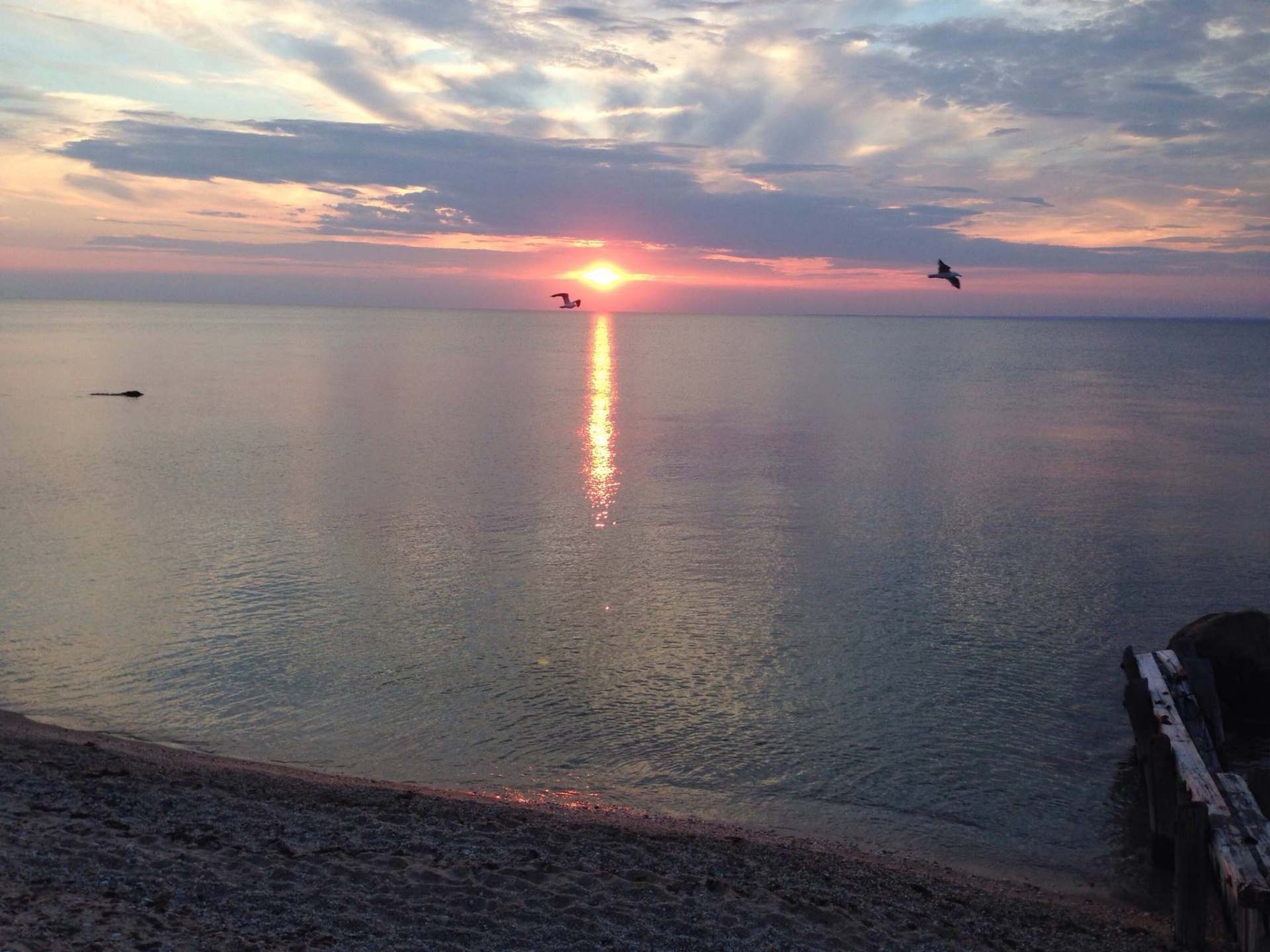 Joanna Shirin - Long Island Sound