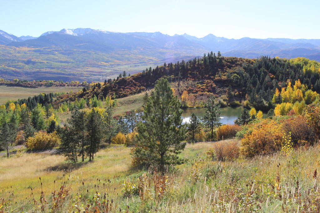 Inspired by Autumnal Colors: Bringing Fall Foliage Indoors - Rocky Mountain Retreat