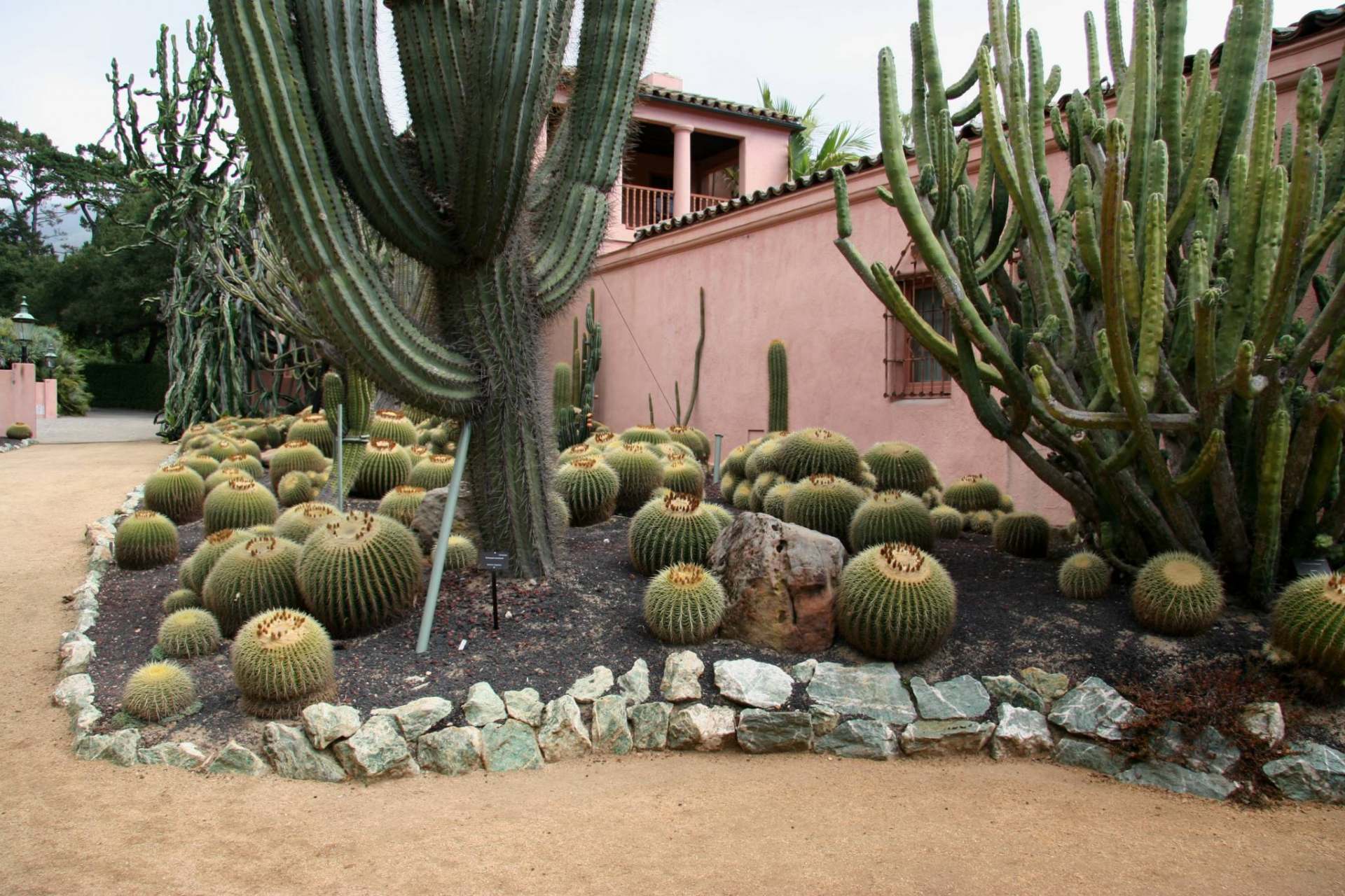 Flickr_-_brewbooks_-_Cacti_and_euphorbia_garden,_Lotusland_(1)