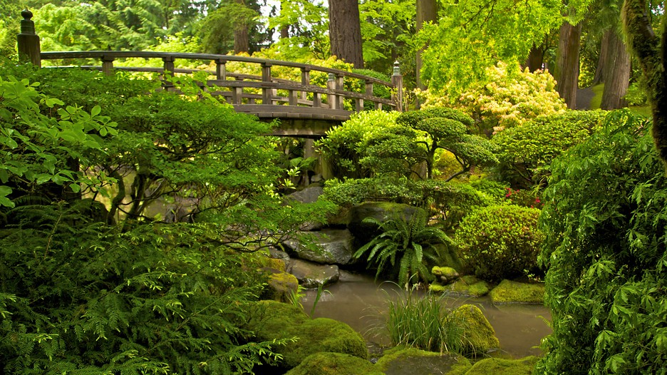 Portland-Japanese-Garden-20679
